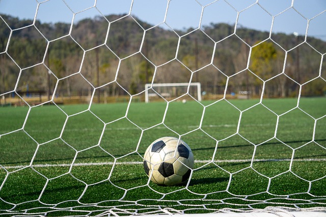 阵容调配 阵容调配