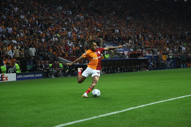 家隊教練不 家隊教練不