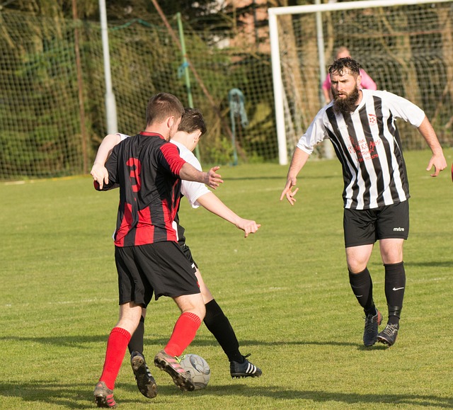 這些特質使 這些特質使