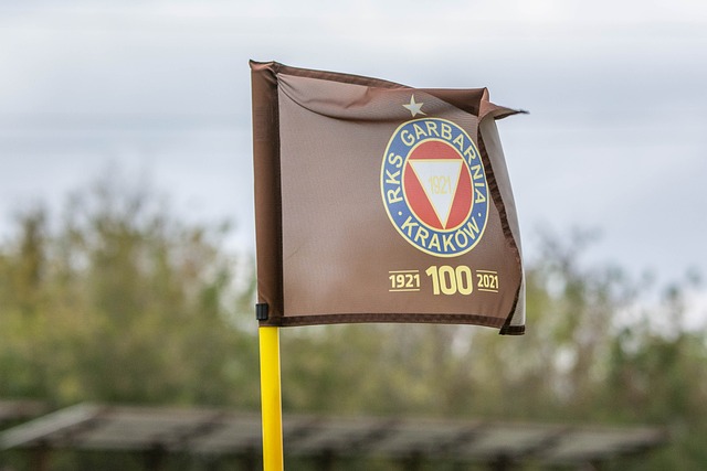 得借鉴的方 得借鉴的方