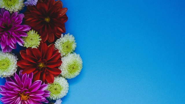 术智慧与实 术智慧与实